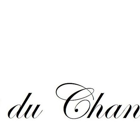 Logis Du Chandelier Le Puy-en-Velay Dış mekan fotoğraf