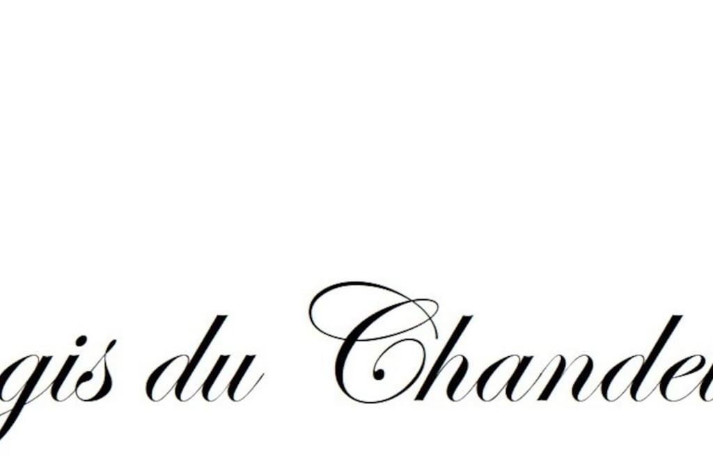 Logis Du Chandelier Le Puy-en-Velay Dış mekan fotoğraf
